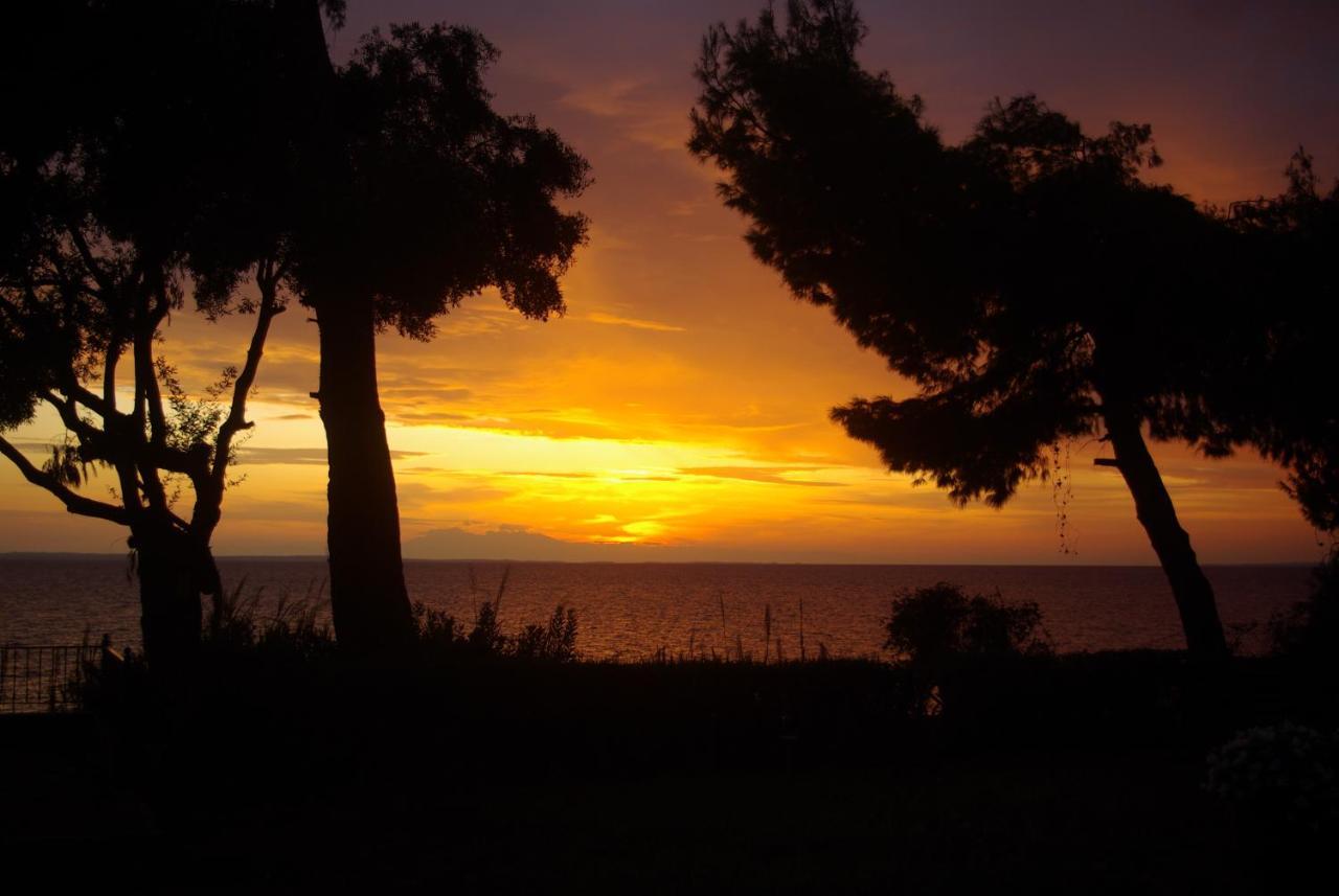 Seafront Studio - Akti Elia Νικήτη Εξωτερικό φωτογραφία